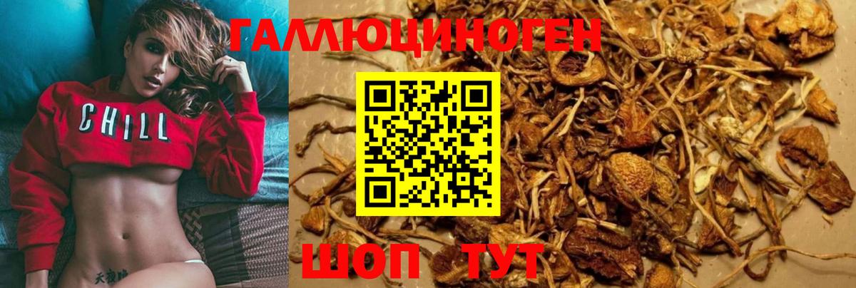 Галлюциногенные грибы мицелий Алушта